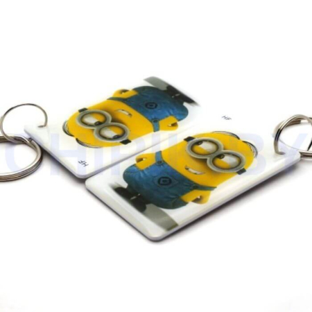 Заготовка для домофонного ключа RFID Em-Marin Метка (Миньон)