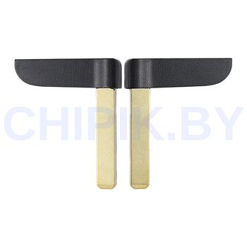 Лезвие Рено Меган, Меган Сценик, Эспейс для смарт карт