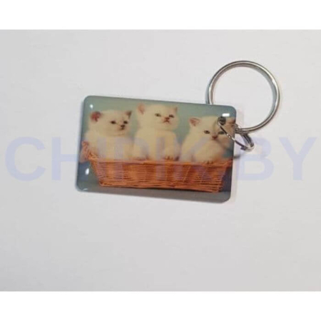 Заготовка для домофонного ключа RFID Em-Marin Метка (Кот 4) DM146