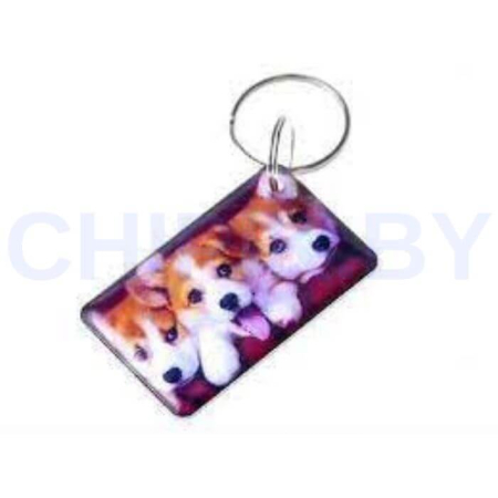 Заготовка для домофонного ключа  RFID Em-Marin Метка (Собачки)