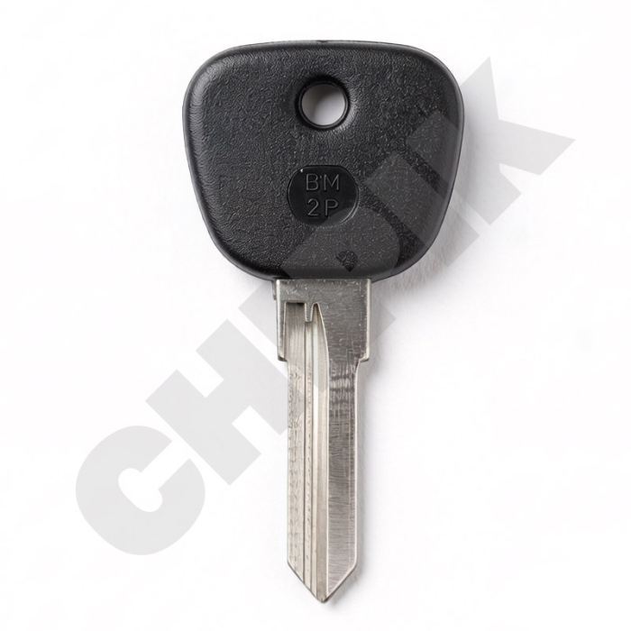 Заготовка авто ключа БМВ BM-2.P HU50AP HF56P HFHBLP8 BM1P Европа пластик