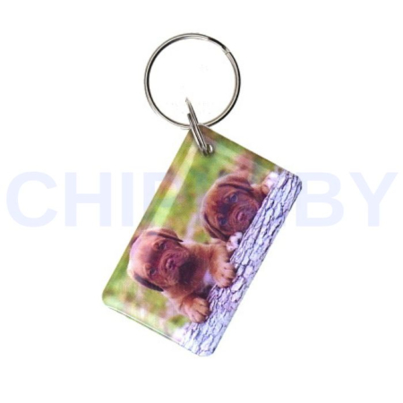 Заготовка для домофонного ключа RFID Em-Marin Метка (Собака 2)