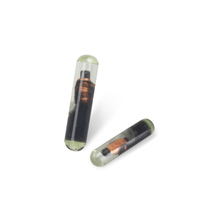 Чип 48 Колба