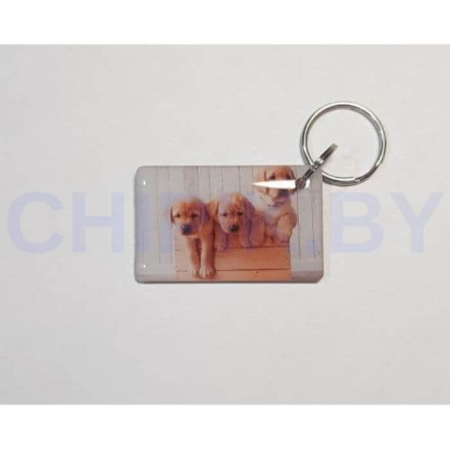 Заготовка для домофонного ключа RFID Em-Marin Метка (Собака 3) DM141