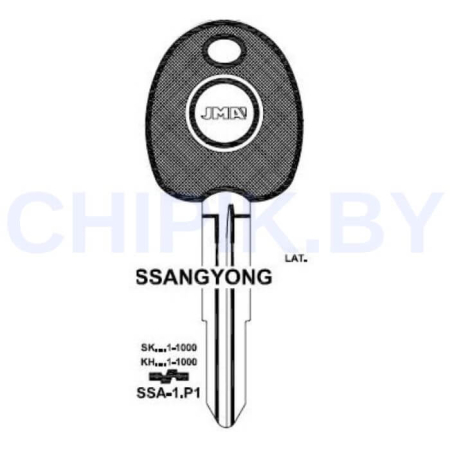 Заготовка авто ключа SSA-1.P1 SSY3TE T00SSA2P Европа под чип Заготовка авто ключа SSA-1.P1 SSY3TE T00SSA2P Европа под чип