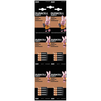 Батарейка AAA/R03 DURACELL
