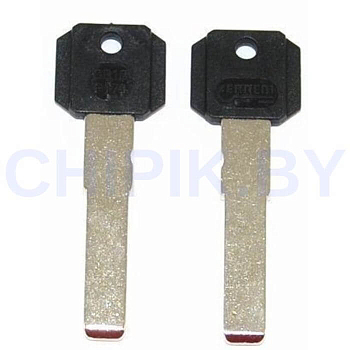 Заготовка авто ключа Фиат, Крайслер, Джип, Додж, Ситроен, Пежо, Ивеко FI-16.P1 SIP22KP SP29KP GB18P174  Европа пластик Заготовка авто ключа Фиат, Крайслер, Джип, Додж, Ситроен, Пежо, Ивеко FI-16.P1 SIP22KP SP29KP GB18P174  Европа пластик