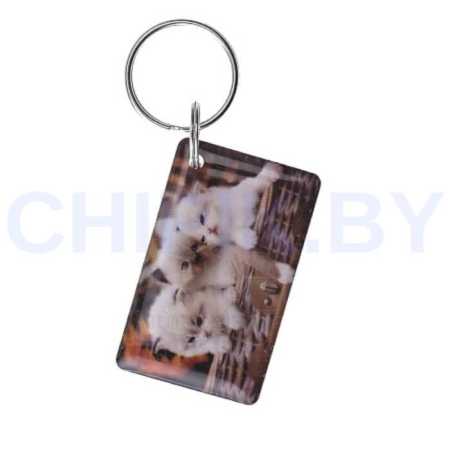 Заготовка для домофонного ключа RFID Em-Marin Метка (Кот 3)